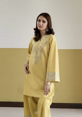 GARNET-2PC LAWN EMBROIDERED SHIRT WITH LAWN TROUSER-W.J-254