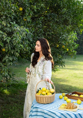 ELAF-3PC DHANAK EMBROIDERED SHIRT WITH DHANAK EMB SHAWL AND TROUSER-W.J-5217