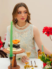 MAHNUR-3PC LAWN CHIKANKAARI EMBROIDERED SHIRT WITH KHAADI NET EMBROIDERED DUPATTA AND TROUSER -W.J-4749