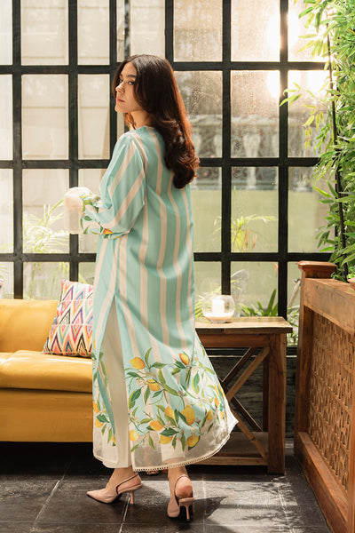 Lulusar-2pc Shemoz Silk Print With Shemoz Silk Trouser-W.J-1056