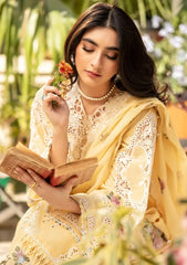 ELAF-3PC LAWN CHIKANKARI EMBROIDERED SHIRT WITH KHADDI NET EMBROIDERED DUPATTA AND TROUSER-W.J-4729